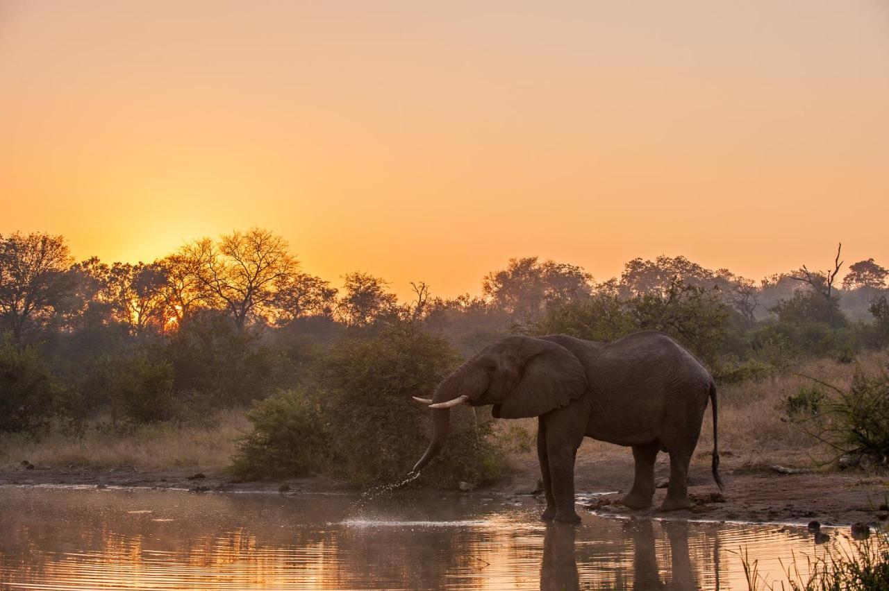 Pondoro Game Lodge Заповідник Балуле Екстер'єр фото