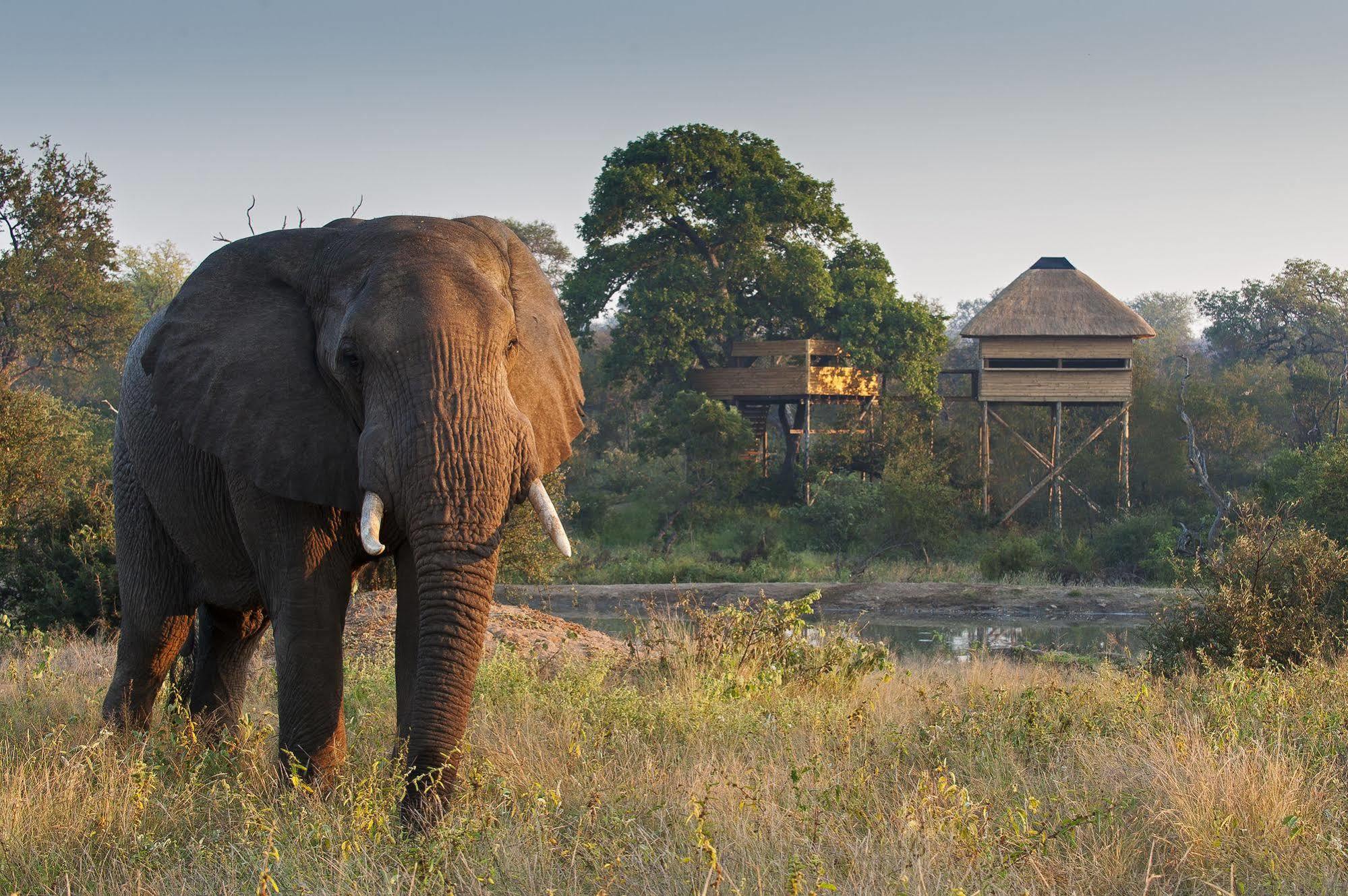 Pondoro Game Lodge Заповідник Балуле Екстер'єр фото